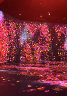 Photo 9 from Superblue Miami