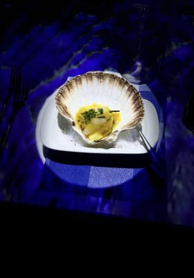 Photo 12 from Immersium: Wien