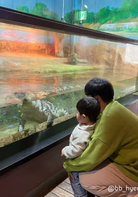 Photo 2 from 씨라이프 코엑스 아쿠아리움 (SEA LIFE COEX, Seoul Aquarium)