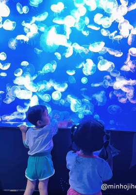 Photo 1 from 씨라이프 코엑스 아쿠아리움 (SEA LIFE COEX, Seoul Aquarium)