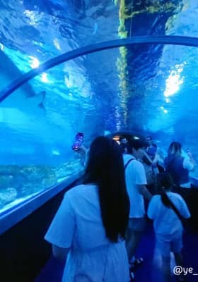 Photo 3 from 씨라이프 코엑스 아쿠아리움 (SEA LIFE COEX, Seoul Aquarium)