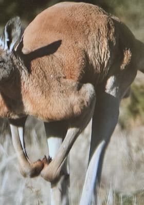 Photo 3 from Immersium:Wien