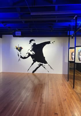 Photo 15 from The Art of Banksy
