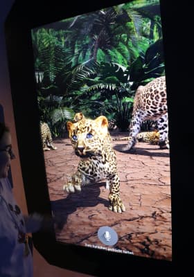 Photo 1 from Immersium:Wien