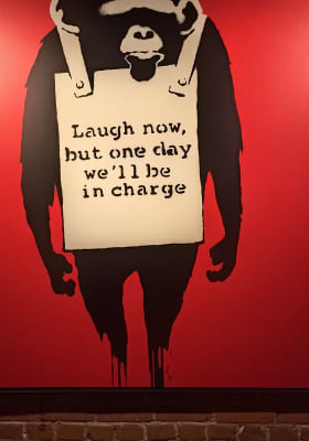 Photo 12 from The Art of Banksy