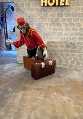 Photo 11 from The Art of Banksy