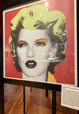 Photo 9 from The Art of Banksy