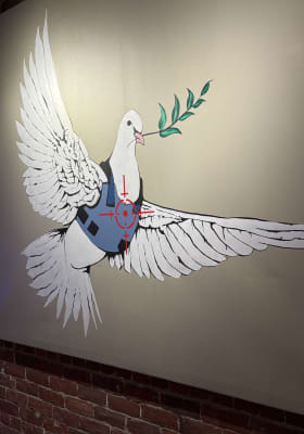 Photo 10 from The Art of Banksy