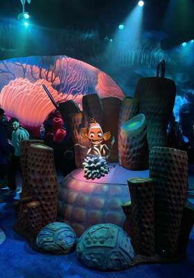 Photo 8 from Brussels Expo