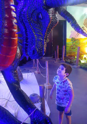Photo 7 from BIOCERES ARENA