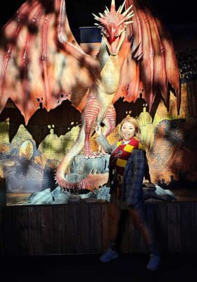 Photo 19 from Fever Exhibition and Experience Centre - Melbourne