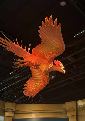 Photo 6 from Fever Exhibition and Experience Centre - Melbourne