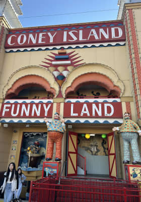 Photo 4 from Luna Park Sydney