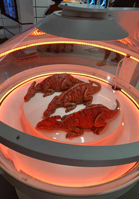 Photo 4 from Espacio Delicias