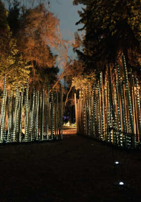 Photo 7 from Parque Metropolitano de Santiago