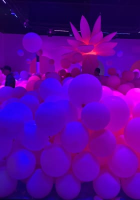 Photo 20 from Rhode Island Center