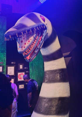 Photo 7 from Avenida Constituyentes 500