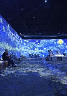 Photo 13 from Van Gogh: The Immersive Experience