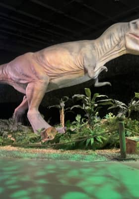 Photo 10 from Northbridge Centre