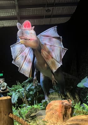 Photo 9 from Northbridge Centre