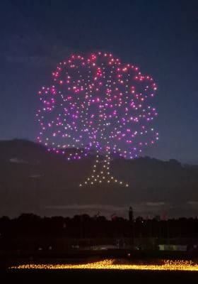 Photo 12 from Hippodrome de Paris-Vincennes