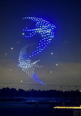 Photo 11 from Hippodrome de Paris-Vincennes