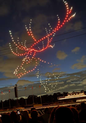 Photo 10 from Hippodrome de Paris-Vincennes