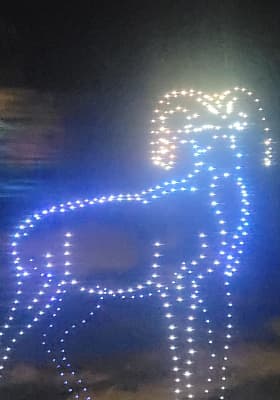 Photo 7 from Hippodrome de Paris-Vincennes