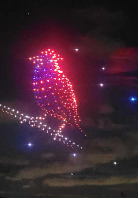 Photo 6 from Hippodrome de Paris-Vincennes