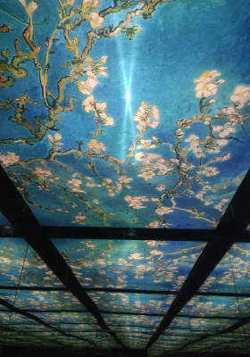 Photo 7 from Atelier des Lumières