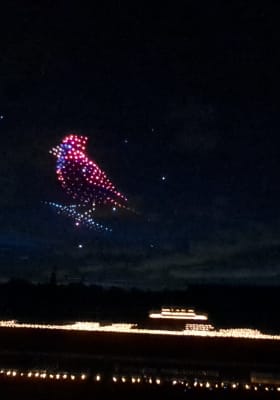 Photo 5 from Hippodrome de Paris-Vincennes