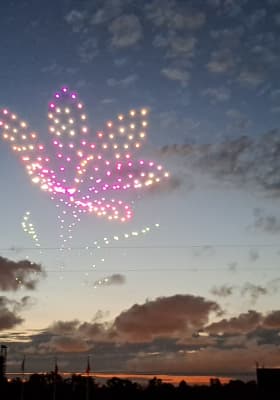 Photo 4 from Hippodrome de Paris-Vincennes