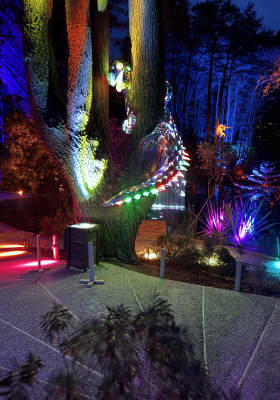 Photo 7 from Kiwi Park Queenstown