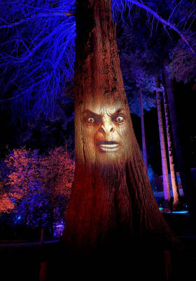 Photo 4 from Kiwi Park Queenstown