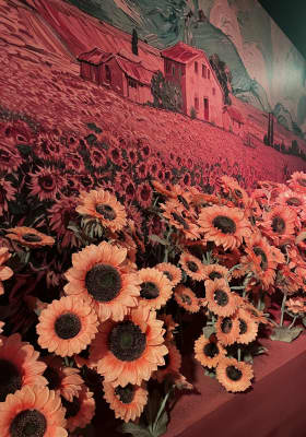 Photo 10 from Van Gogh: The Immersive Experience
