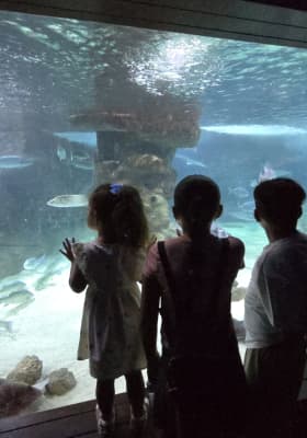 Photo 20 from Marineland Mallorca