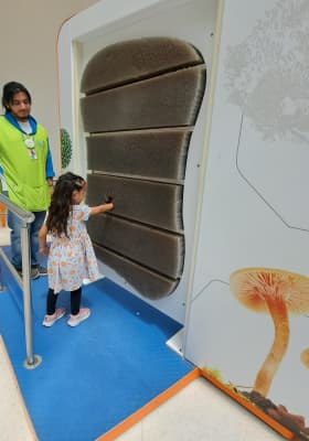 Photo 2 from Papalote Museo del Niño-Monterrey