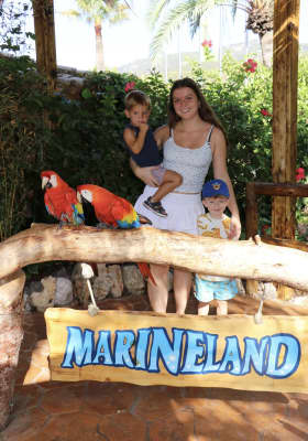 Photo 19 from Marineland Mallorca