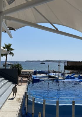 Photo 18 from Marineland Mallorca