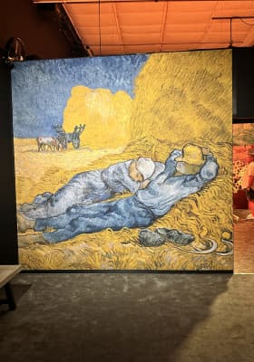 Photo 8 from Van Gogh: The Immersive Experience - Tampa