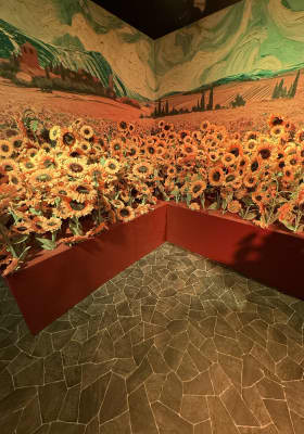 Photo 3 from Van Gogh: The Immersive Experience - Tampa