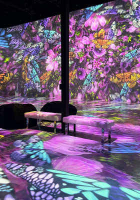 Photo 2 from ARTECHOUSE Houston
