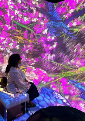 Photo 1 from ARTECHOUSE Houston