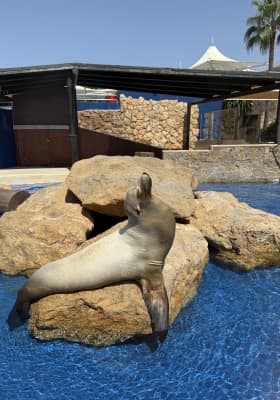 Photo 11 from Marineland Mallorca