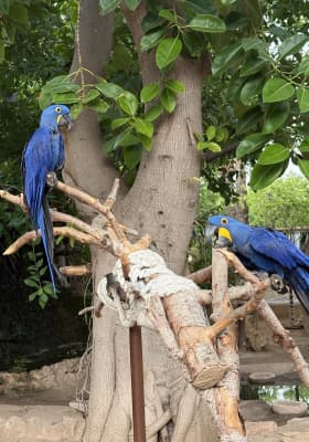 Photo 8 from Marineland Mallorca