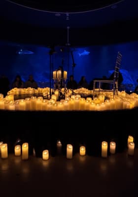 Photo 3 from Acuario de Melbourne