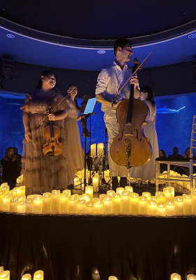 Photo 2 from Acuario de Melbourne