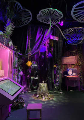 Photo 19 from 5 rue de Berri