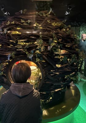 Photo 14 from 5 rue de Berri