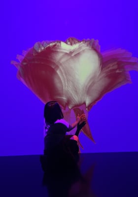 Photo 20 from Arte Museum New York
